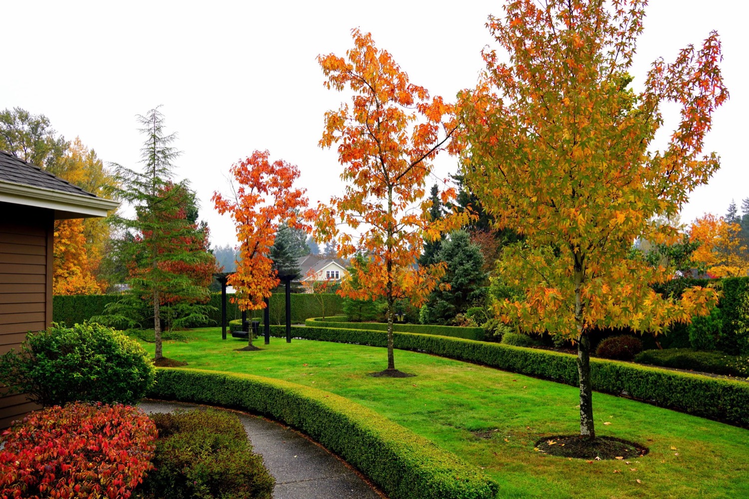 Autumn colour over a maintained lawn and hedge