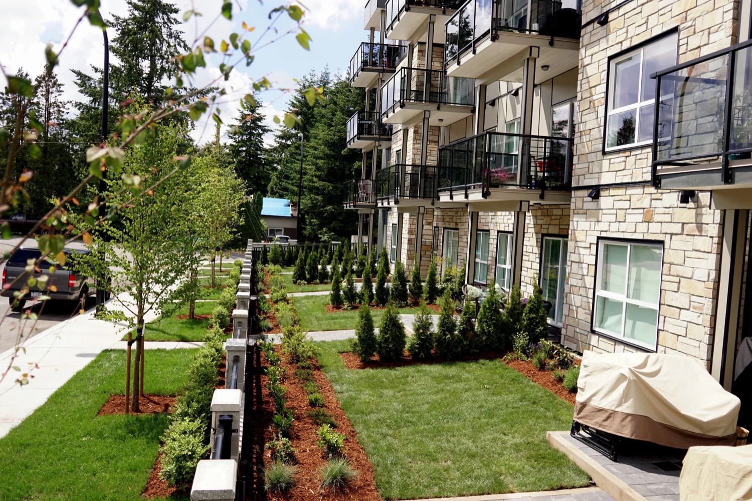 Commercial frontage planting and hedging