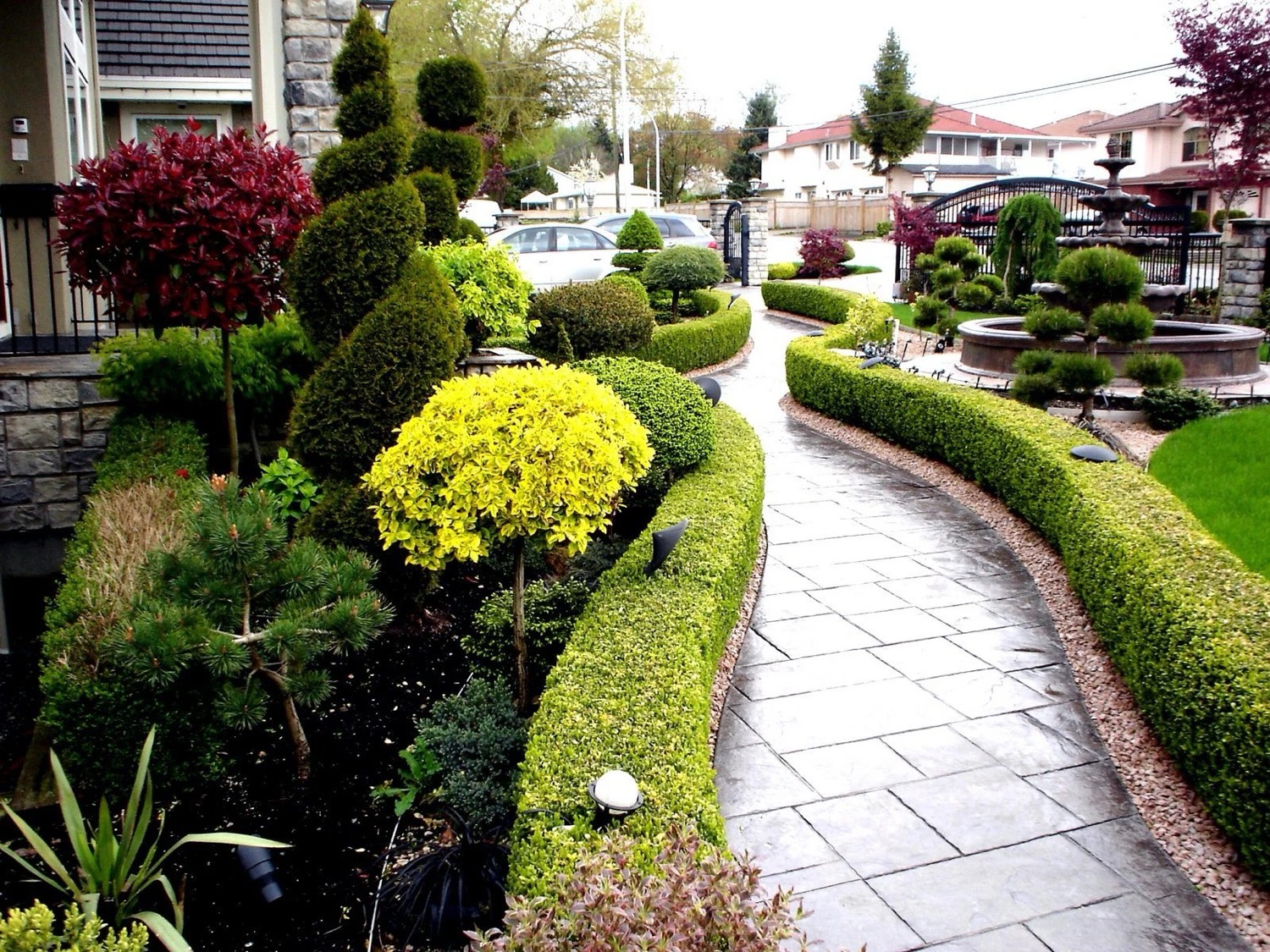 Clipped planting along a paved walkway