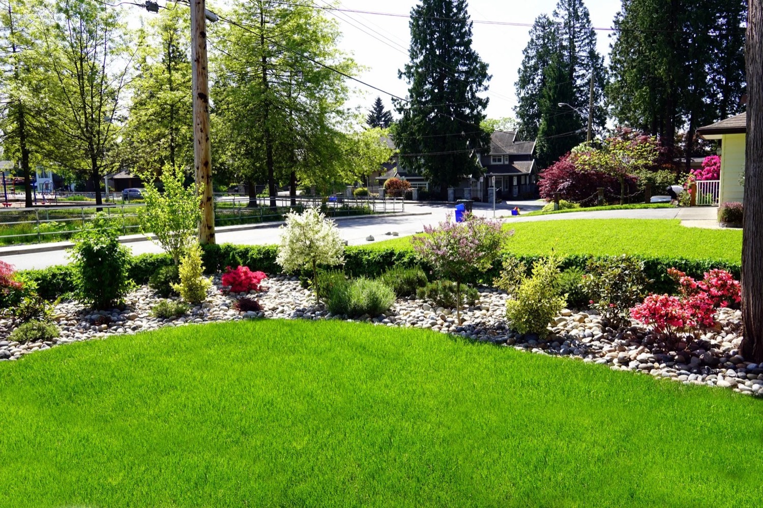 An irrigated lawn and planted beds